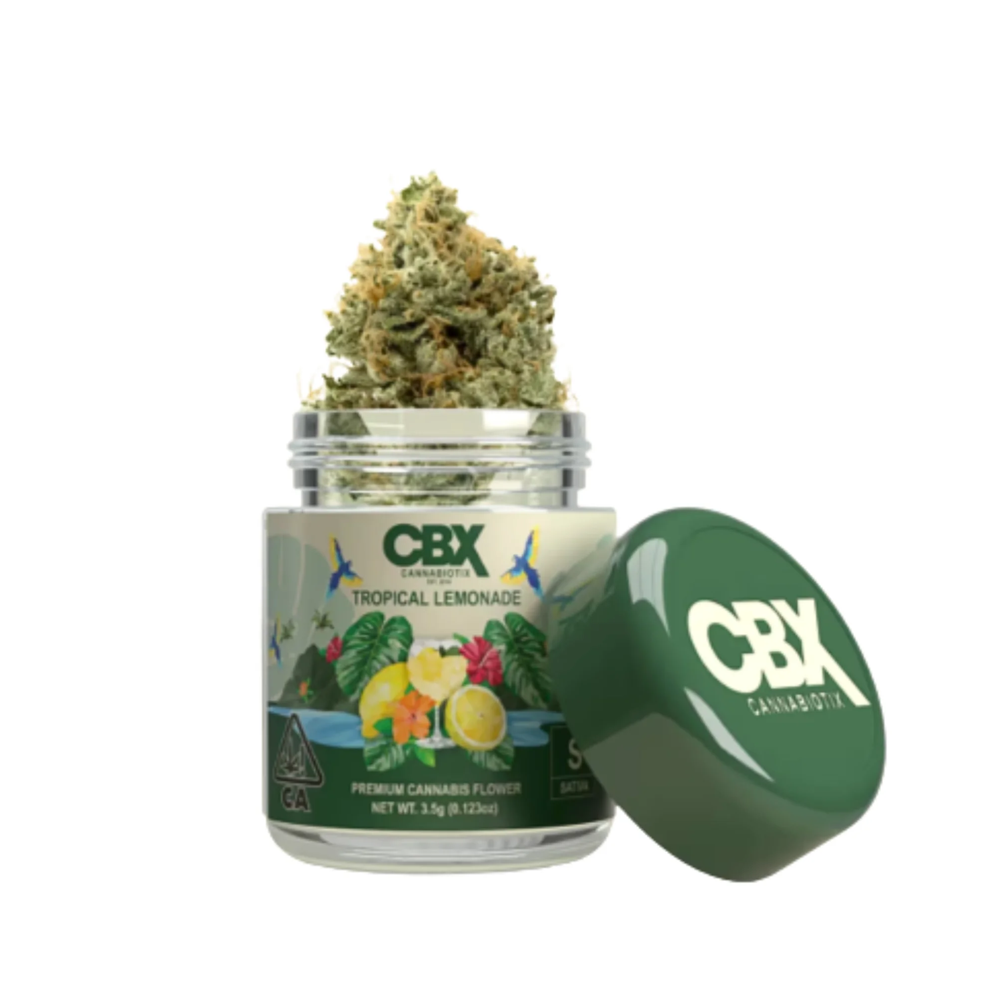 CBX Tropical Lemonade - 3.5G - Premium Cannabis Flower